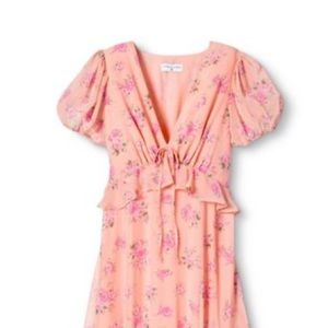 NWT LoveShackFancy x Target Fleur Dress